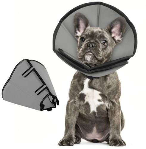 PUZAUKAL Halskrause Hund Weich Nach OP, Verstellbarer Anti Leckschutz Hund | Leichter Hundekragen, Halskrausen für Hunde Wear-resisting, Schutzkragen für Kleine Große Hunde (Grau,M)