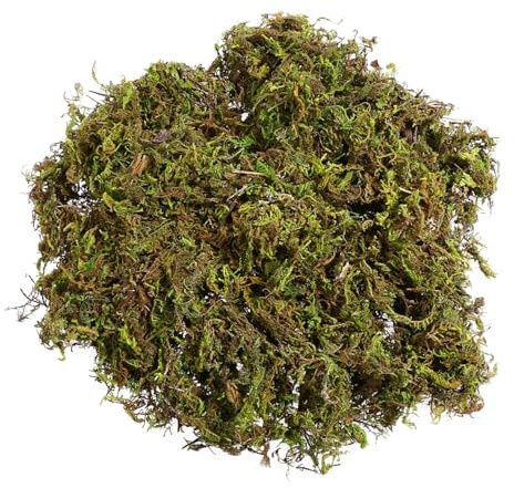 BESPORTBLE Artificial Moss Fake Green Decorative Bulk for Plant Garden Lawn Crafts Decoration 60g/Pack for Hanging Baskets Floristry Supplies Balls Model Grass Indoor Pots Fairy Accessories Basket
