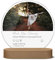 Beleuchtetes Foto Nachtlicht im Instagram Design | Dein Foto - Dein Titel - Deine Hashtags | mit weißer LED Beleuchtung & Holzsockel | Geschenk für Partner Freund Familie
