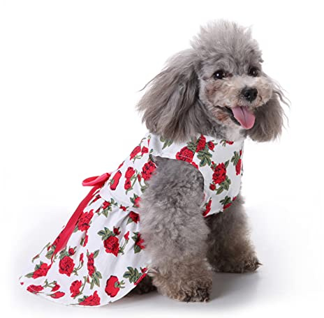 PETCUTE Hundekleid Haustier Kleine Hund Kleidung,Hundesommerkleid Haustier Hundekleid,Schöne Blume Haustier-Kleidung Elegante Bowknot Welpen Rock,Hundeprinzessin Kleider Tutu Hochzeit Spitze Kleid