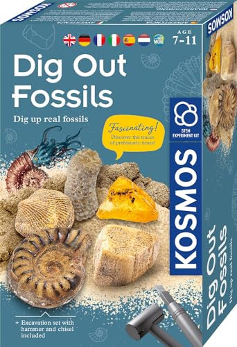KOSMOS 617226 Fossilien Ausgrabungs-Set, Grabe echte Versteinerungen und Bernstein selbst aus, mit Hammer und Meißel, Experimentierset für Kinder ab 7 Jahre, mehrsprachige Anleitung