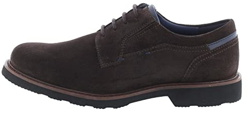 Sioux Dilip-716-H, Oxford-Schale für Herren, Bär, 43,5 EU, Bear, 43.5 EU Large