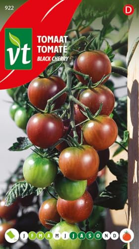 Schwarzkirschtomate - Gemüsesamen