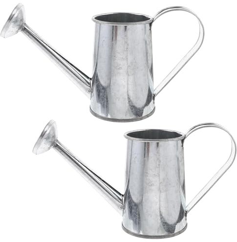 BESPORTBLE Farmhouse Flower Vase 2pcs Tin Mini Flower Pot Gardening Watering Can Silverware Organizer Planter Pots for Indoor Plants French Flower Pots Flower Spray Succulents Iron Vintage