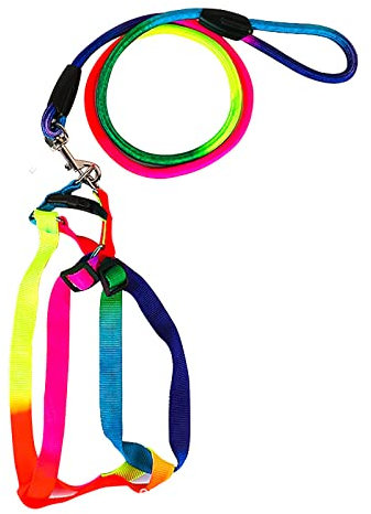 TAHUAON Hundegeschirr und Leine, Set, verstellbar, kein Ziehen, Nylon, Haustiergeschirr mit Leine, Halsband für Outdoor-Spaziergänge für Hunde, Regenbogen-Hundegeschirr, Größe M (geeignet für 3,5–7,5