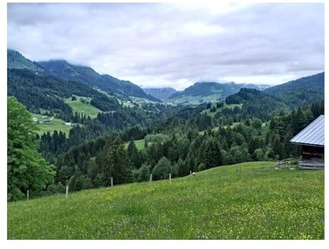 500 Teile Puzzles-Geschenk,Clevere RäTsel-Allgäu,Deutschland,Berge 52x38cm