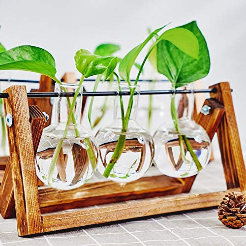 KnikGlass Hydroponische Vase Deko Holz Halter mit Hydroponik Glasvase Hängevase Blumenvase Tischvase Dekovase für Hydrokultur Pflanzen, Zuhause oder Büro Dekoration (Braun, 3 Vasen)