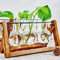 KnikGlass Hydroponische Vase Deko Holz Halter mit Hydroponik Glasvase Hängevase Blumenvase Tischvase Dekovase für Hydrokultur Pflanzen, Zuhause oder Büro Dekoration (Braun, 3 Vasen)