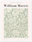 Rose II No. 11 Poster de William Morris 50 x 70 cm Déco pastel Tableaux Décoration murale