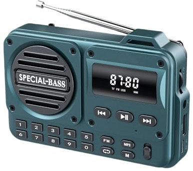 Taschenradio FM USB-C Laden, 2000 mAh, wiederaufladbar, ausgezeichneter Empfang, klarer Lautsprecher und Kopfhöreranschluss, LCD-Bildschirm, FM-Radio für Walk/Joggen/Fitnessstudio, Bluetooth/TF (keine