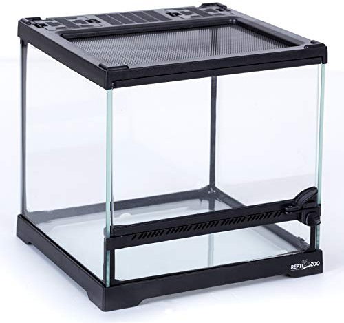 REPTIZOO Mini terrarium en verre pour reptile 20,3 x 20,3 x 20,3 cm, porte à ouverture frontale avec vue complète pour mini reptiles ou amphibiens
