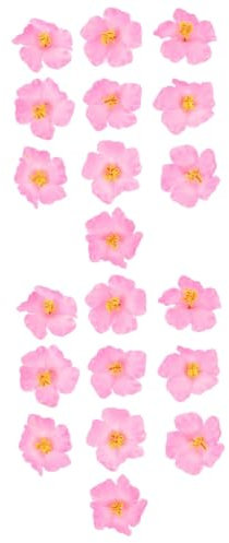 HOMSFOU 20 STK Künstliche Hibiskusblüte Hibiskus-tischblumen Gefälschte Rosa Stirnbänder Hawaiianische Kunstblume Hochzeitsgeschenke Blumendekor Eva Blütenblatt Bankett Schweinebraten