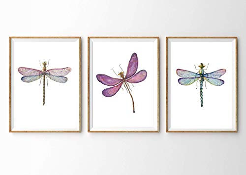 Din A4 Kunstdruck ohne Rahmen 3-teilig - Libelle Dragonfly Aquarell Geschenk Druck Poster Bild
