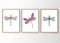 Din A4 Kunstdruck ohne Rahmen 3-teilig - Libelle Dragonfly Aquarell Geschenk Druck Poster Bild