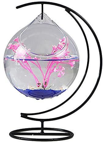 ZHDOKA Aquarium en verre à suspendre avec support - 27 cm - Petit bocal transparent pour poissons rouges - Mini aquarium - Décoration de table pour la maison, le bureau