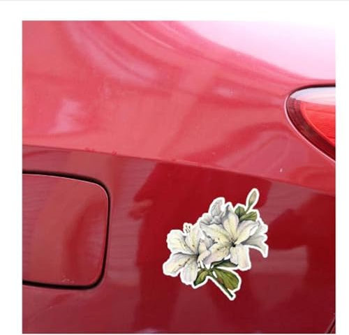 ROPEME Autoaufkleber Und Abziehbilder, 10,9 X 12,1 cm, Interessante Lilien-Blumen-Dekor, Autoaufkleber, Autoscooter, Fenster (2 Stück)