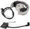 WXZOZMD Zündspule Stator Rotor Magneto Schwungrad Kit kompatibel mit KTM50 for KTM 50 SX 50cc Pro Senior Junior SR JR SX50 Adventure Dauerhaft