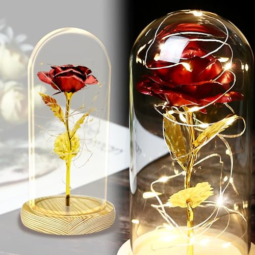 MEDOYOH Cupola di Vetro per Rosa Rossa, La Bella e La Bestia Rose con 20 LED 2M/6.6ft Luci Stringa, Batterie Incluse per Regalo San Valentino Compleanno Matrimonio Anniversario Festa Della Mamma