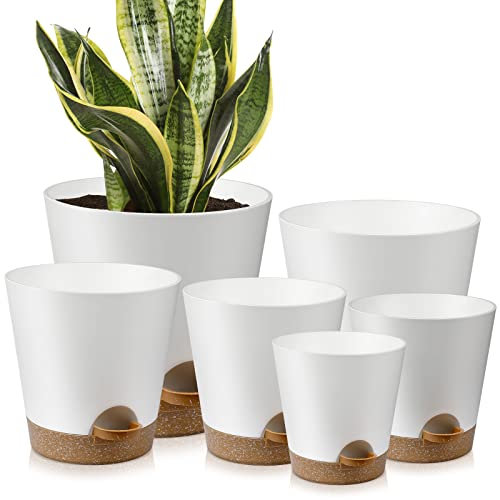 YNNICO, Fioriere autoirriganti per interni con fori di drenaggio e piattini, 20, 17, 16,5, 15,2, 14, 12,7 cm, bianco, 6 vasi