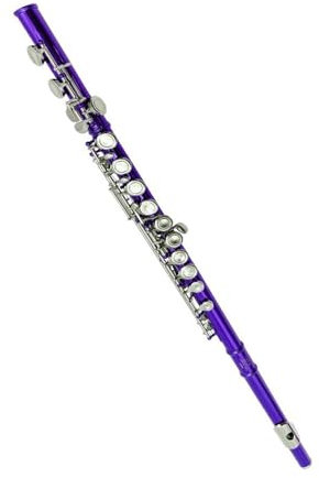 Flauto traverso flauto per principianti Flauto colorato a 16 fori chiusi in chiave C e flauto viola in chiave E