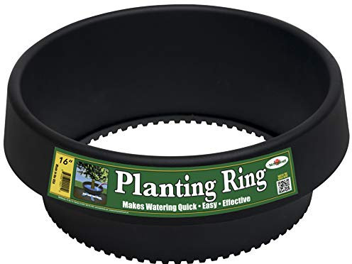 Paquete de 3 anillos de plantación (anillo sólido) – Cuencas de riego para tomates, verduras y flores | Borde de jardín y retención de agua | Protege las plantas, separa rocas, mantillo y hierba |