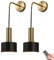 Battery Operated Wall Sconces Set Of 2, Modern No Wire Wall Lamp with Remote and led Light Bulb, Dimmable Adjustable Copper Lighting Fixture for Indoor Bedroom Bedside Decor/Living Room/Hallway