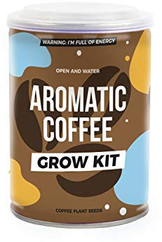 Grow Tin Aromatic Coffee 1 Plant Seed Medium Roast | Grow Your Own Coffee | Gift Republic