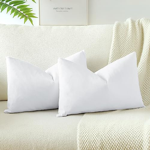 JOTOM Samt Kissenbezug Kissenhülle Sofakissen Dekokissen Kissenbezüge für Sofa Wohnzimmer Schlafzimmer 2er Set 30x50 cm Reines Weiß