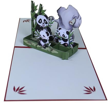 Panda Popup Karte 3D Lustige Panda Popup Grußkarte Karten für Glückwunsch Geburtstag Jahrestag Abschlussfeier