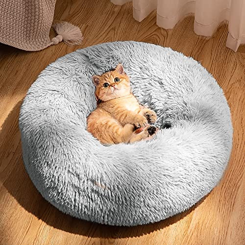 CALIYO Katzenbett Flauschig, Hundebett Kleine Hunde, Katzenkissen Hundekissen Waschbar, Trocknergeeignetes Katzen Bett, Hundebetten Rund Katzenkörbchen Durchmesser 50 cm(Hellgrau)