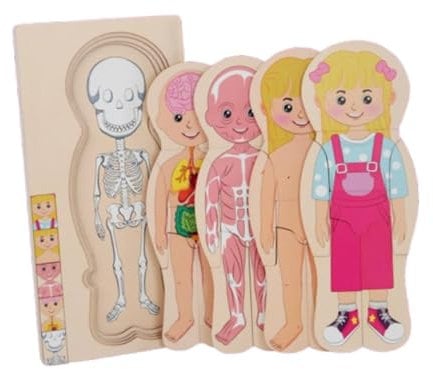 Sharplace Puzzle zum menschlichen Körper für Kinder, Montessori-Puzzles, kreatives Entwicklungsspielzeug, Lernspielzeug, Vorschulspiel für Babys, Gril