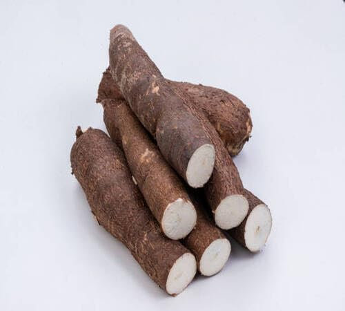 Semillas de yuca 40 piezas marrones