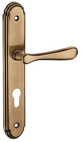 THIRARD - Ensemble de Poignées pour Porte d'Entrée Arthemis - Acier Embouti - Usage Pratique et Esthétique - Trou de Cylindre - Carré 7 mm - Entr'Axes 195 mm - Finition Laiton Patiné - Jaune/Doré