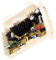 Module de puissance (302307-51901) Lave-linge DC92-01223A SAMSUNG