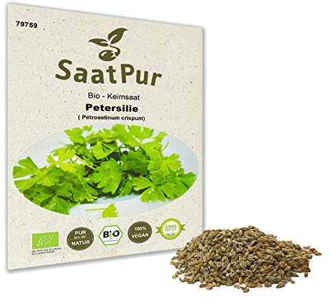 Petersilie BIO Keimsaat Keimsprossen von SaatPur - Sprossen Microgreen - 20g Samen Mikrogrün Kräuter Küche