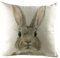 Kissenbezug Ostern Osterdeko Ostereier Häschen Kissenhülle Kissenbezug Dekokissen Cases Ostern Deko Sofa Kissen 45x45cm, Dekorative Kissenhülle für Zierkissenhülle Schlafzimmer Sofa (D-G, 1pc)