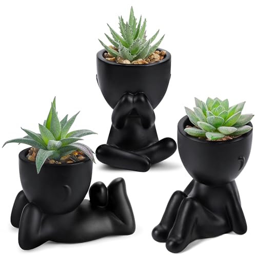 Der Rose Lot de 3 plantes succulentes artificielles mignonnes pour salle de bain, chambre à coucher, maison, chambre, bureau, accessoires de décoration d'intérieur