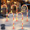Sunshine smile 5er Weihnachtsbeleuchtung Aussen,Weihnachtsbeleuchtung Außen Batterie,LED Gartenstecker Weihnachten,Lichterkette Außen,Garten Lichterkette,Weihnachtsdeko Garten,Weihnachtsdeko Outdoor