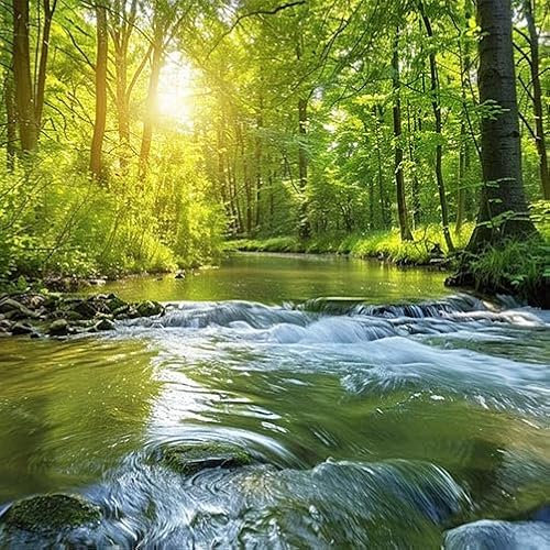 TRIOSK Große Motivplane Sichtschutz Zaunblende mit Motiv Waldfluss Wald Sonnenlicht Motivbanner Garten Deko Plane Blickdicht für Zaun Terrasse Gartenzaun Zaunplane PVC 600x200 cm