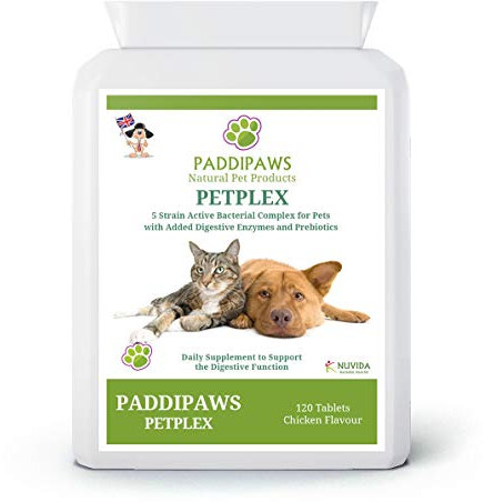 Probiotics for Dogs and Cats - Yeast Infection Treatment for Dogs - Dog Probiotics for Gut Health - 5 strain active bacteria with digestive enzymes and prebiotics - 120 Chicken Flavour Tablets.