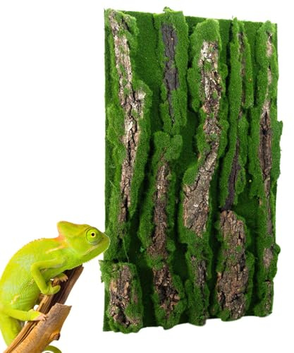 Reptile Cork Terrarium Background - Reptile Bark Decoration | Lizard Habitat Decorations Bark Backdrop | Reptiles Habitat Decor With Artificial Moss For Gecko, Lizard, Tortoise, Frog, Chameleon