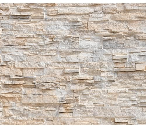 decomonkey Fototapete Steinwand Stein 400x280 cm XXL Design Tapete Fototapeten Tapeten Wandtapete moderne Wand Schlafzimmer Wohnzimmer Steintapete Stein Mauer Steinoptik 3D