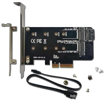 Valuegist Adaptateur Double M.2 PCIE pour SATA ou PCIE NVMe SSD, M.2 SSD NVME (m Key) et SATA (b Key) 2280 2260 2242 2230 vers Carte d'extension contrôleur hôte PCI-e 3.0 x 4 (MKeyBkey)