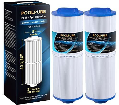 POOLPURE 4CH-949 Filtro Spa di Ricambio per Pleatco PWW50L, Filbur FC-0172, SD-01143, 817-4050, Rising Dragon 50, Waterway Teleweir 50 m², Confezione da 2