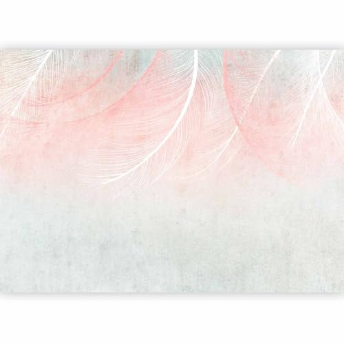 murando - Carta da Parati Moderna per Camera da Letto, Rosa, 400x280 cm | Fotomurali in TNT, Decorazione da Muro XXL, Carte da Parati Moderne, Piume, Produzione Europea