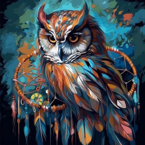 DIY 5D Diamond Painting by Number Kits Full Round Drill Diamond Painting Arts Kits for Adults Owl Dream Catcher 10 Arts Painting Rhinestone Picture Art Craft Home Wall Decor