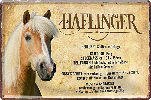 WOGEKA ART Retro Blechschild - Haflinger Pferd Steckbrief Horse - witziger Spruch als Geschenk-Idee zum Geburtstag Weihnachten zur Dekoration 20x30 cm Vintage-Design aus Metall 477