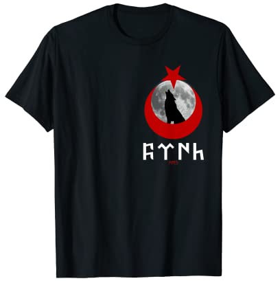 Tangri Göktürk Ayyildiz Türkei Halbmond Flagge Türk Bozkurt T-Shirt