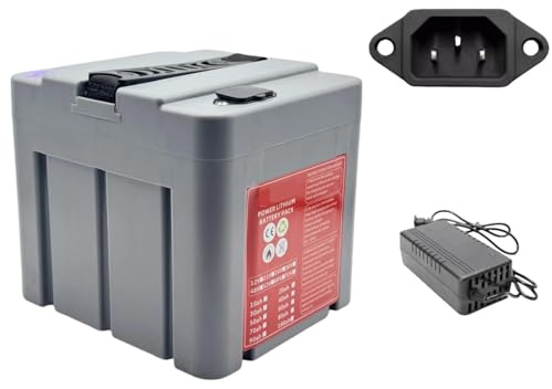 Batteria al litio ricaricabile da 36 V 40 Ah con caricabatteria integrato BMS adatta for motori