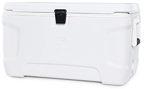 Igloo Marine Contour 70, Nevera, 66 L, Blanco